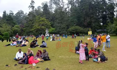 ஊட்டி தாவரவியல் பூங்காவுக்கு 24 லட்சம் பேர் வருகை