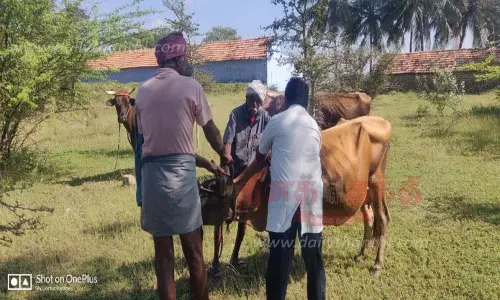 பனப்பட்டியில்  கால்நடை மருத்துவ முகாம்