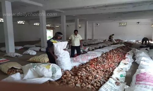 ஆனைமலை ஒழுங்குமுறை விற்பனைக்கூடத்திற்கு கொப்பரை தேங்காய் வரத்து அதிகரிப்பு ஆனைமலை ஒழுங்குமுறை விற்பனைக்கூடத்திற்கு கொப்பரை தேங்காய் வரத்து அதிகரிப்பு