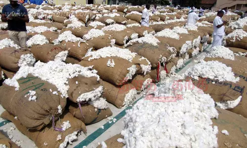 நாமக்கல்லில் ரூ.72 லட்சத்துக்கு பருத்தி ஏலம்