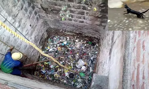 ஆண்டிப்பட்டியில்கிணற்றில் விழுந்த காட்டு பூனை மீட்பு