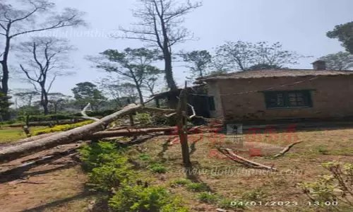 வால்பாறையில் தபால் அலுவலகம் மீது மரம் முறிந்து விழுந்தது-ஊழியர் காயம் வால்பாறையில் தபால் அலுவலகம் மீது மரம் முறிந்து விழுந்தது-ஊழியர் காயம்