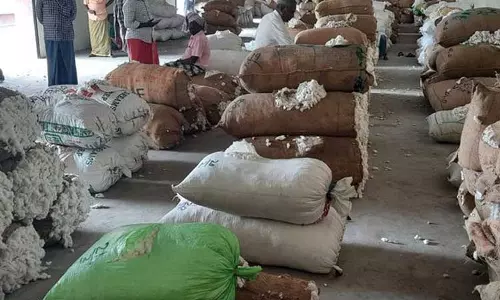 கள்ளக்குறிச்சியில் ரூ.10½ லட்சத்துக்கு பருத்தி விற்பனை கள்ளக்குறிச்சியில் ரூ.10½ லட்சத்துக்கு பருத்தி விற்பனை