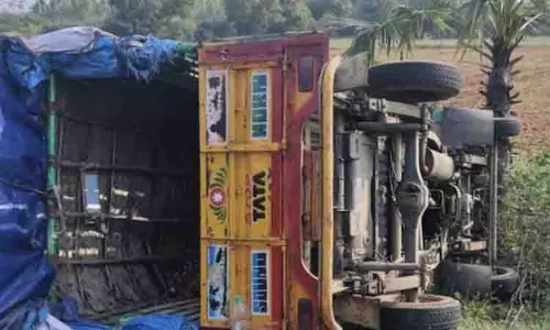 ஆட்டோ மீது சரக்கு வேன் மோதல்; டிரைவர் படுகாயம் ஆட்டோ மீது சரக்கு வேன் மோதல்; டிரைவர் படுகாயம்