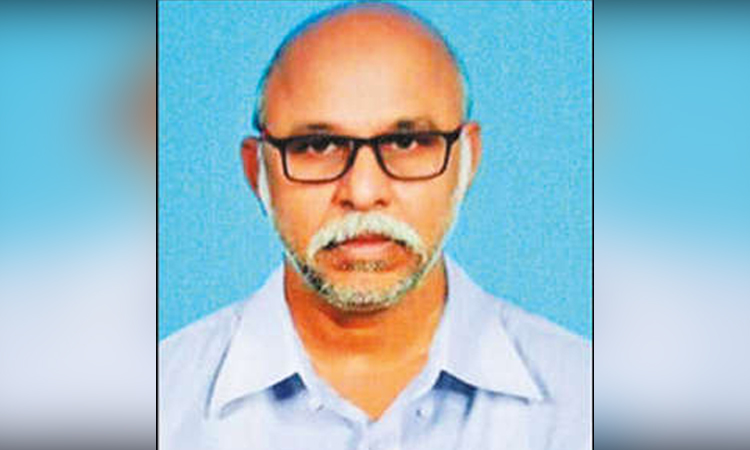 மரம் விழுந்து தொழிலாளி பலி