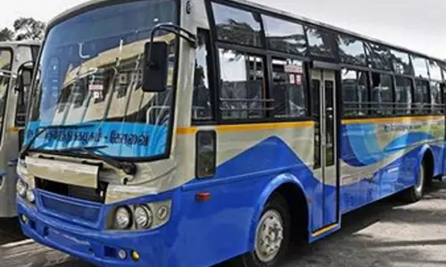 திருவண்ணாமலை, சதுரகிரிக்கு 300 சிறப்பு பஸ்கள் இயக்கம்