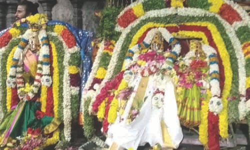 கல்யாண பசுபதீஸ்வரர் கோவிலில் திருக்கல்யாண உற்சவம் கல்யாண பசுபதீஸ்வரர் கோவிலில் திருக்கல்யாண உற்சவம்