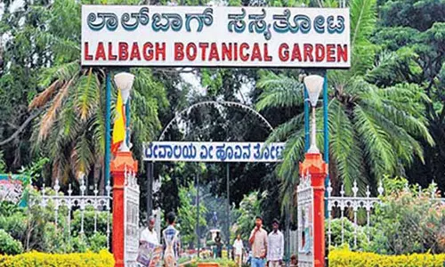 லால்பாக்கில் வருகிற 19-ந் தேதி மலர் கண்காட்சி தொடக்கம்