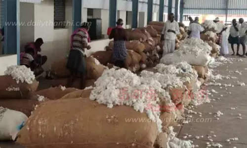 அந்தியூரில்ரூ.3½ லட்சத்துக்கு பருத்தி விற்பனை அந்தியூரில்ரூ.3½ லட்சத்துக்கு பருத்தி விற்பனை