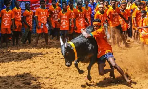தச்சங்குறிச்சியில் இன்று நடைபெற இருந்த ஜல்லிக்கட்டு போட்டி ஒத்திவைப்பு தச்சங்குறிச்சியில் இன்று நடைபெற இருந்த ஜல்லிக்கட்டு போட்டி ஒத்திவைப்பு