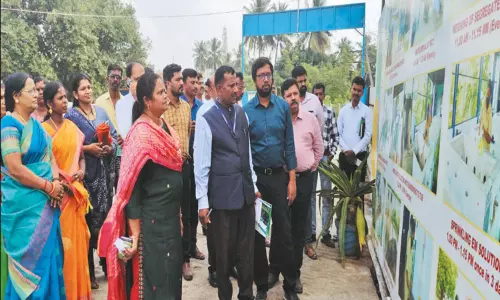 மண்ணிவாக்கம் ஊராட்சியில் காய்கறி கழிவுகளில் இருந்து நுண்ணுயிர் உரம் தயாரிக்கும் பணி