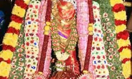 பேரூர் பட்டீசுவரர் கோவிலில் ஆருத்ரா தரிசன விழா