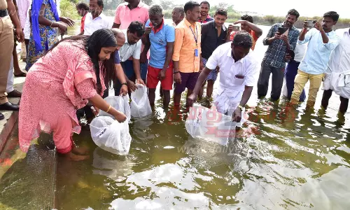 ஜேடர்பாளையம் காவிரி ஆற்றில்1.70 லட்சம் நாட்டின மீன் குஞ்சுகள் விடும் திட்டம்கலெக்டர் ஸ்ரேயா சிங் தொடங்கி வைத்தார்