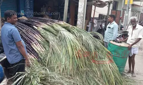 ரேஷன் கடைகளுக்கு வந்த கரும்புக்கட்டுகள் ரேஷன் கடைகளுக்கு வந்த கரும்புக்கட்டுகள்