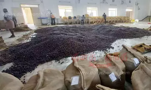 ரூ.3 கோடிக்கு ஜாதிக்காய், ஜாதிபத்திரி ஏற்றுமதி ரூ.3 கோடிக்கு ஜாதிக்காய், ஜாதிபத்திரி ஏற்றுமதி