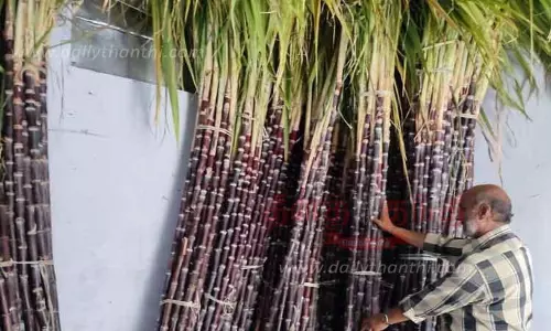 டோக்கன் வழங்கும் பணி 90 சதவீதம் நிறைவு டோக்கன் வழங்கும் பணி 90 சதவீதம் நிறைவு