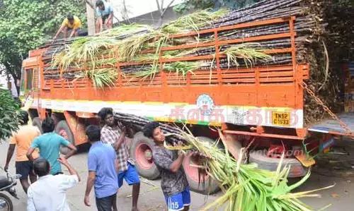 கோவையில் இருந்து ஷார்ஜாவுக்கு விமானம் மூலம் கரும்பு ஏற்றுமதி
