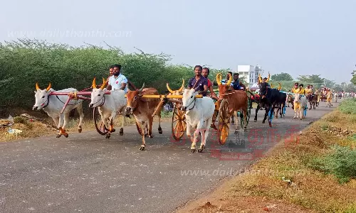 முதுகுளத்தூரில், இரட்டை மாட்டுவண்டி பந்தயம் முதுகுளத்தூரில், இரட்டை மாட்டுவண்டி பந்தயம்