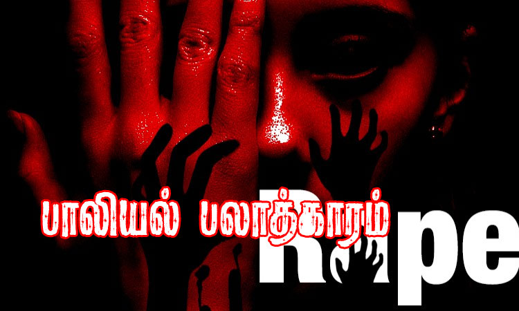 நெல்லையில் அதிர்ச்சி சம்பவம்- பெண்ணை கூட்டு பலாத்காரம் செய்த டிரைவர் உள்பட 4 பேர் கைது