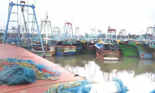 மீனவர்கள் கடலுக்கு செல்லவில்லை மீனவர்கள் கடலுக்கு செல்லவில்லை