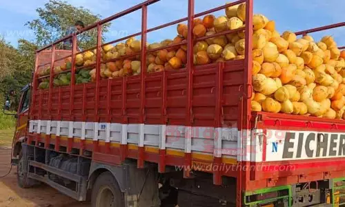 செவ்விளநீருக்கு கடும் கிராக்கி