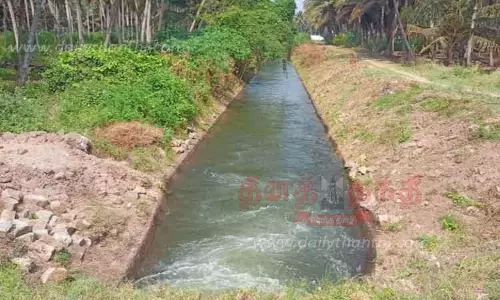 பி.ஏ.பி. கால்வாயில் இருந்து கோவில்பாளையம் கிளை வாய்க்காலில் தண்ணீர் திறப்பு-விவசாயிகள் மகிழ்ச்சி