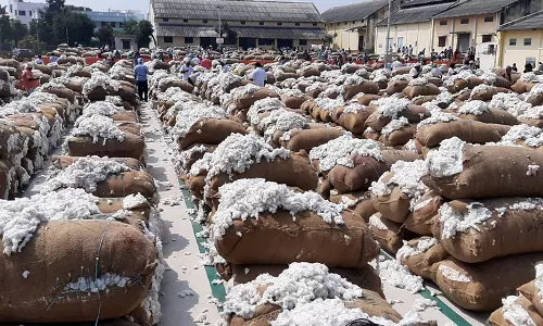 ரூ.1¾ கோடிக்கு பருத்தி ஏலம்