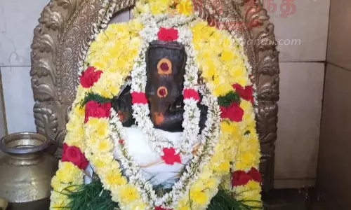 விநாயகர் கோவில்களில் சிறப்பு வழிபாடு விநாயகர் கோவில்களில் சிறப்பு வழிபாடு