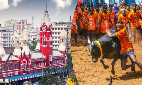 சென்னையில் முதல் முறையாக ஜல்லிக்கட்டு போட்டி; மார்ச் 5-ந் தேதி நடக்கிறது சென்னையில் முதல் முறையாக ஜல்லிக்கட்டு போட்டி; மார்ச் 5-ந் தேதி நடக்கிறது