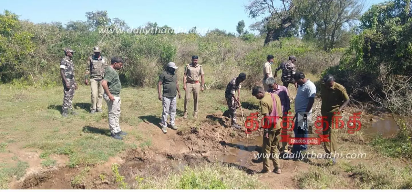 தாளவாடி அருகே கருப்பன் யானையை பிடிக்க விடிய, விடிய காத்திருந்த வனத்துறையினர் ஏமாற்றம்