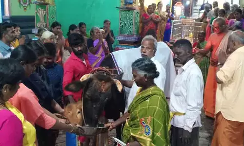 கோமாதா பூஜை