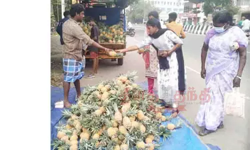 அன்னாசி பழம் விற்பனை