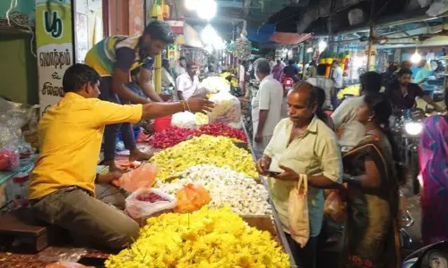 பொங்கல் பண்டிகையை முன்னிட்டு குண்டு மல்லி பூவின் விலை கிடுகிடு உயர்வு ஒரு கிலோ ரூ.2,000-க்கு விற்பனை