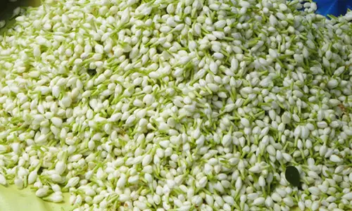 மதுரை மார்க்கெட்டில் மல்லிகைப்பூ கிலோ ரூ.2500-க்கு விற்பனை - மற்ற பூக்களின் விலையும் உயர்ந்தது