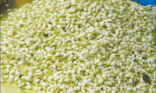 சென்னையில், மல்லிகை பூவின் விலை கிடுகிடு உயர்வு: ஒரு கிலோ ரூ.2,400-க்கு விற்பனை