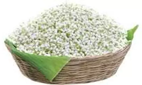 பொங்கல் பண்டிகையை முன்னிட்டுபூக்கள் விலை கடும் உயர்வுமல்லிகை கிலோ ரூ.2,500-க்கு விற்பனை