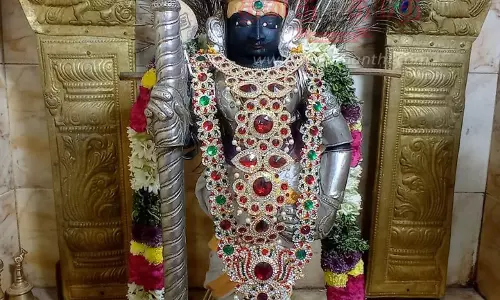 சஷ்டியையொட்டிபாலதண்டாயுதபாணி சாமி கோவிலில் சிறப்பு பூஜை சஷ்டியையொட்டிபாலதண்டாயுதபாணி சாமி கோவிலில் சிறப்பு பூஜை