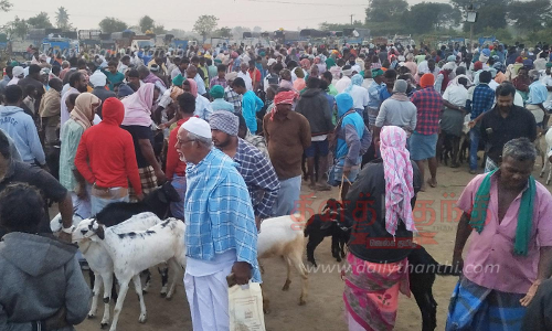 சிறுவாச்சூர் சந்தையில் ஆடுகள் விற்பனை அமோகம்