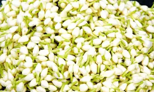 மதுரை மார்க்கெட்டில் ஒரு கிலோ மல்லிகை ரூ.3 ஆயிரத்துக்கு விற்பனை