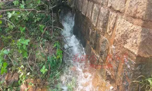 மணிமுத்தாறு அணை கால்வாயில் உடைப்பு