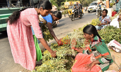 ஈரோடு மாநகர் பகுதியில் பொங்கல் பொருட்கள் விற்பனை அமோகம் ஈரோடு மாநகர் பகுதியில் பொங்கல் பொருட்கள் விற்பனை அமோகம்