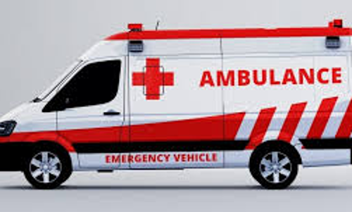 கடந்த ஆண்டு 108 ஆம்புலன்சில் 57 பிரசவங்கள் நடந்துள்ளன