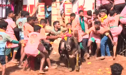 அவனியாபுரம் ஜல்லிக்கட்டு 3வது சுற்று நிறைவு