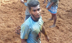 அவனியாபுரம் ஜல்லிக்கட்டு: கார்த்தி என்பவர் 3ஆம் சுற்று முடிவில் 15 காளைகளை அடக்கி முதலிடம்.. |