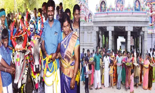 ஊர் மக்களுக்கு 6 வேளை உணவளிக்கும் ஒற்றை குடும்பம் - பொங்கலை வித்தியாசமாக கொண்டாடும் கிராமம் ஊர் மக்களுக்கு 6 வேளை உணவளிக்கும் ஒற்றை குடும்பம் - பொங்கலை வித்தியாசமாக கொண்டாடும் கிராமம்