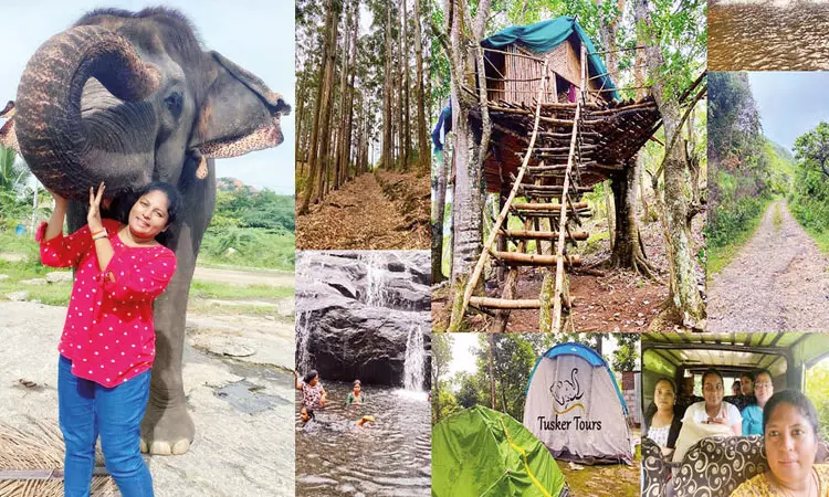 இயற்கையைத் தேடும் வனச் சுற்றுலா..! இயற்கையைத் தேடும் வனச் சுற்றுலா..!