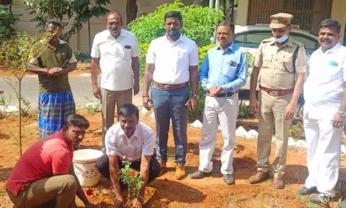 மரக்கன்றுகள் நடும் விழா