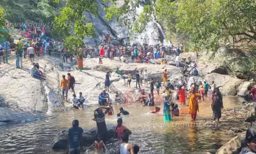 பொங்கலையொட்டி தொடர் விடுமுறை:குரங்கு நீர்வீழ்ச்சியில் சுற்றுலா பயணிகள் குவிந்தனர்