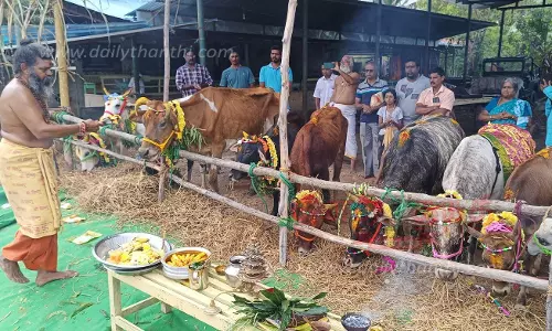 மாடுகளை அலங்கரித்து ஊர்வலமாக அழைத்து வந்து சிறப்பு பூஜை