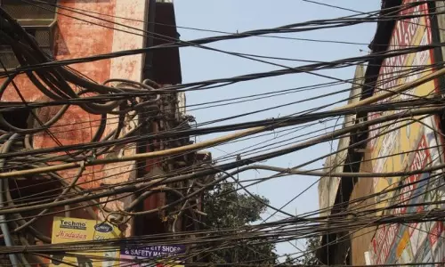 ராசிபுரம் அருகே மின்சார வயர் அறுந்து விழுந்து மாடு செத்தது